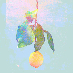 操鼻视频素材大全
